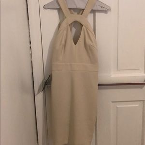 Bebe nude dress